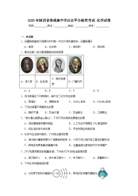 2025年陕西省普通高中学业水平合格性考试化学试卷（附答案解析）