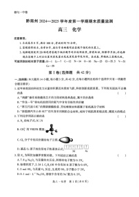 黔南州2024-2025学年度高三上学期期末质量监测 化学试卷（含答案）