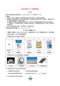 广东省2025届高三化学上学期11月月考试题