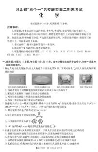 河北省“五个一”名校联盟2024-2025学年高二下学期期末考试化学试题（含答案）