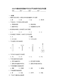 2025年湖南省普通高中学业水平合格性考试化学试题（附答案解析）