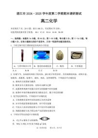 广东省湛江2024-2025学年高二下学期期末调研考试化学试题（含答案）含答案解析