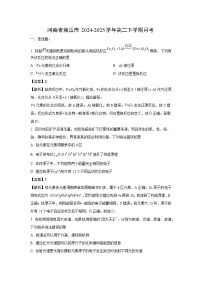 河南省商丘市2024-2025学年高二下学期月考化学试卷（解析版）