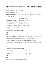 安徽省蚌埠市2024_2025学年_高一化学上学期11月期中联考检测试卷[有解析]