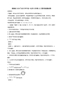 湖南省2024_2025学年_高一化学上学期12月联考检测试卷[有解析]