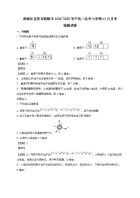湖南省岳阳市临湘市2024_2025学年_高二化学上学期12月月考检测试卷[有解析]