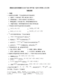 湖南省岳阳市临湘市2024_2025学年_高一化学上学期12月月考检测试卷