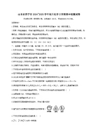 山东省济宁市2024_2025学年_高三化学上学期期中检测试卷