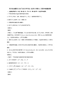 四川省成都市2024_2025学年_高二化学上学期11月期中检测试卷[有解析]