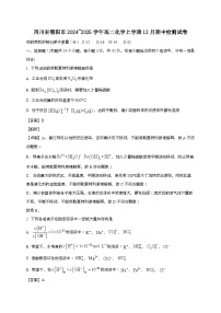 四川省德阳市2024_2025学年_高二化学上学期12月期中检测试卷[有解析]