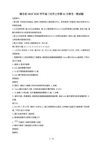 湖北省2024~2025学年高三化学上学期12月联考一模试题（附解析）