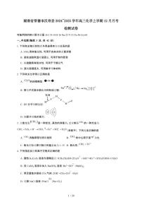 湖南省常德市汉寿县2024~2025学年高三化学上学期12月月考检测试卷（附解析）
