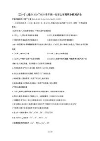 辽宁省大连市2024~2025学年高一化学上学期期中检测试卷