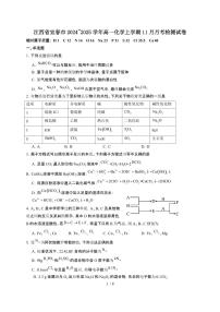 江西省宜春市2024~2025学年高一化学上学期11月月考检测试卷