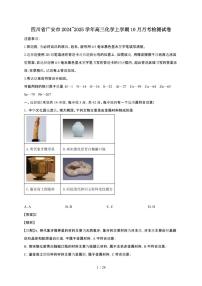 四川省广安市2024~2025学年高三化学上学期10月月考检测试卷（附解析）