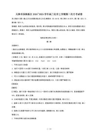 天津市滨海新区2024~2025学年高三化学上学期第二次月考试卷（附解析）