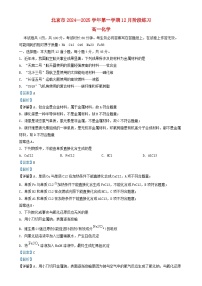 北京市2024_2025学年高一化学上学期12月月考试卷含解析