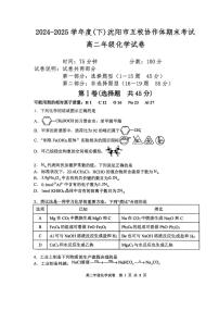 辽宁沈阳五校联考2024-2025学年度高二下学期期末化学试题+答案