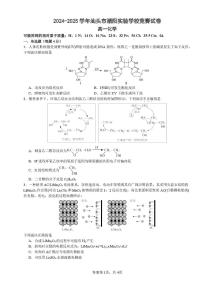 广东汕头潮阳实验学校2024-2025学年高一下学期竞赛化学试题+答案