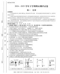 河南省安阳市滑县2024-2025学年高一下学期期末考试化学试题（PDF版附答案）