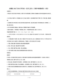 安徽省2024~2025学年高一化学上册11月期中检测试卷（A卷）