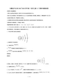安徽省六安市2024~2025学年高一化学上册11月期中检测试卷1