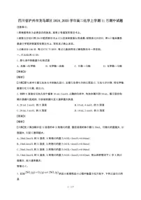 四川省泸州市龙马潭区2024_2025学年高二化学上学期11月期中试题