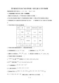 四川省内江市2024~2025学年高一化学上册12月月考试卷