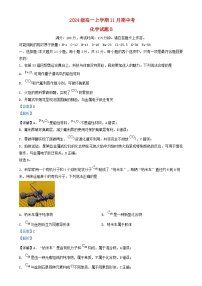 安徽省2024_2025学年高一化学上学期11月期中试题含解析