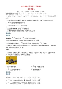 安徽省2024_2025学年高一化学上学期11月期中试题含解析