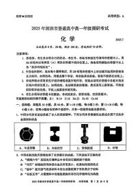 广东省深圳市2024-2025学年高一下学期期末考试 化学 PDF版含答案含答案解析