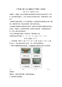 广东省六校2025届高三下学期5月联考 化学试卷（解析版）