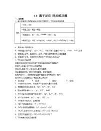 高中化学人教版 (2019)必修 第一册离子反应一课一练