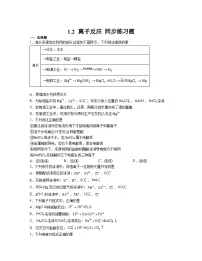 高中化学人教版 (2019)必修 第一册离子反应一课一练