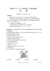河北省邢台市2024-2025学年高二下学期7月期末测试化学试卷（含答案）含答案解析