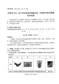 云南省玉溪市2025届新高二下学期7月期末教学质量检测-化学试题+答案
