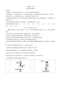湖北省2024~2025学年高一化学上册11月期中试卷