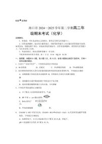 海南省海口市2025届新高二下学期7月期末考-化学试题+答案
