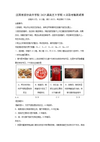 【化学】江西省部分高中学校2025届高三下学期4月联考检测试卷（解析版）