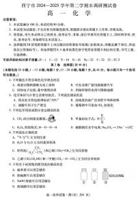 青海省西宁市2024-2025学年高一下学期末调研测试化学试卷（含答案）含答案解析