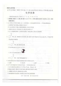 辽宁省重点高中联合体2024-2025学年高二下学期期末考试化学试卷（PDF版附解析）