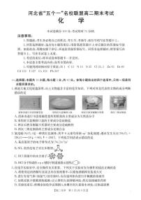 河北省-五个一-名校联盟2024-2025学年高二下学期期末考试化学试题（含答案）