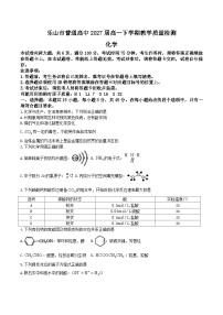 四川省乐山市普通高中2024-2025学年高一下学期期末教学质量检测化学试卷（含答案）含答案解析