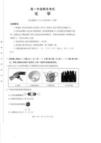 广东湛江市部分学校2024-2025学年高一下学期期末考试化学试卷+答案
