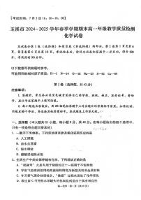 云南省玉溪市2024-2025学年高一下学期期末考试化学试卷（PDF版附解析）