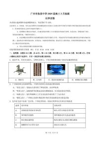 广州执信中学2025年高三下学期3月检测化学试题+答案