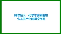 2026届高考化学一轮复习课件：微专题六 化学平衡原理