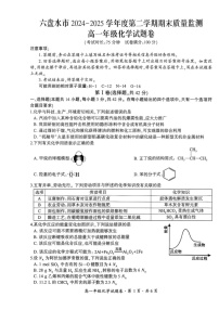 贵州省六盘水市2024-2025学年高一下学期期末测试化学试卷