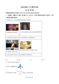湖北省武汉市新洲区一中2025届新高二下学期7月期末考-化学试题+答案