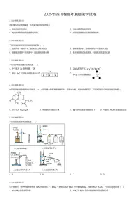 2025年四川卷高考真题化学试卷（有答案解析）